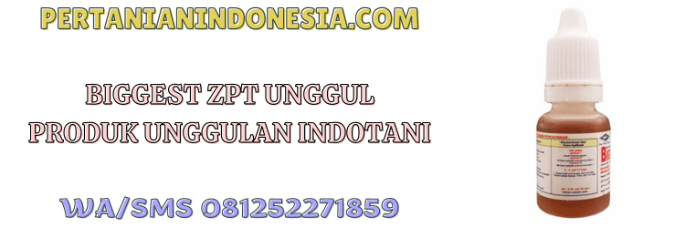 biggest,zpt,bigest 40 ec,indotani,cap kapal terbang